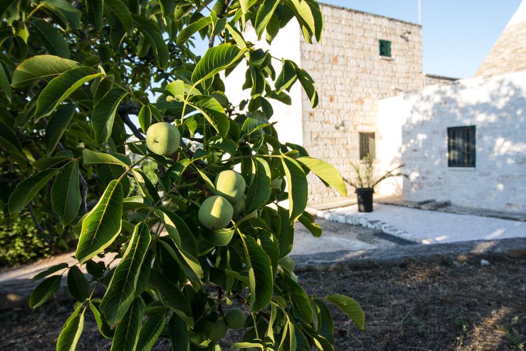 Maison Milleottocento Villa Cisternino Eksteriør bilde